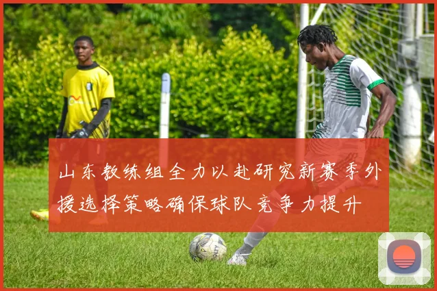 山东教练组全力以赴研究新赛季外援选择策略确保球队竞争力提升