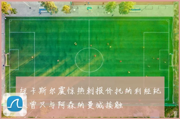 纽卡斯尔震惊热刺报价托纳利经纪人曾只与阿森纳曼城接触
